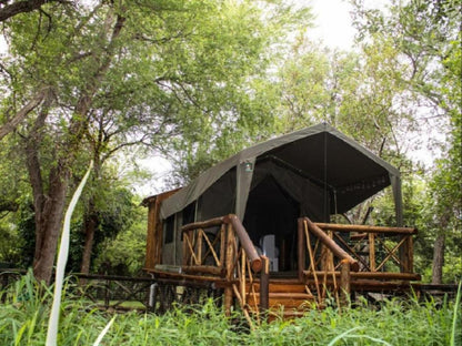 Safari Tent @ Homebase Kruger
