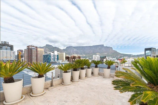 Home From Home Metropolis Apartments De Waterkant Cape Town Western Cape South Africa Nature