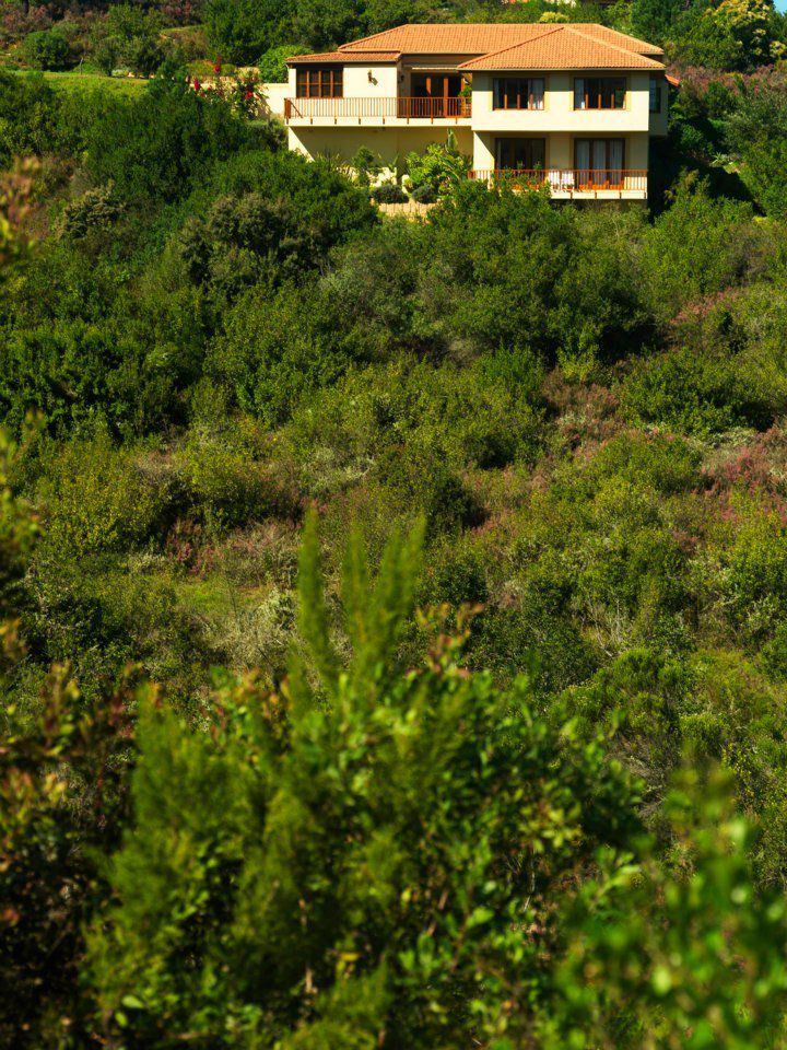 Home In Eden Eastford Private Nature Reserve Knysna Western Cape South Africa Colorful
