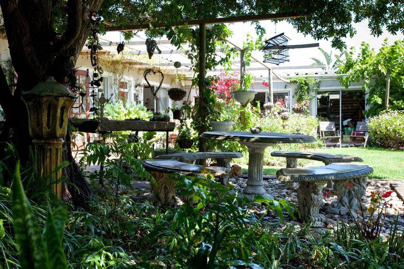 Homestay On Blouberg Nature Reserve Table View Blouberg Western Cape South Africa House, Building, Architecture, Plant, Nature, Bar, Garden