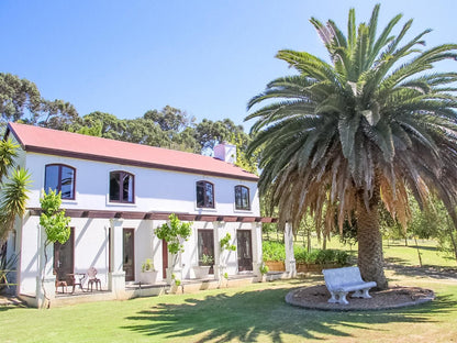 Homestead Villas Welgedacht Cape Town Western Cape South Africa Complementary Colors, House, Building, Architecture, Palm Tree, Plant, Nature, Wood