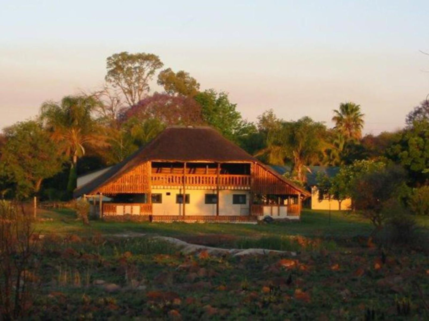 Honey Lodge Dinokeng Game Reserve Gauteng South Africa Palm Tree, Plant, Nature, Wood