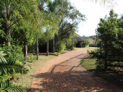 Honey Lodge Dinokeng Game Reserve Gauteng South Africa Palm Tree, Plant, Nature, Wood, Garden