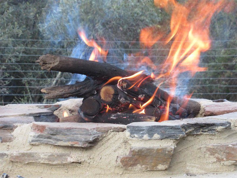 Honey Nest Resort Rustenburg North West Province South Africa Fire, Nature