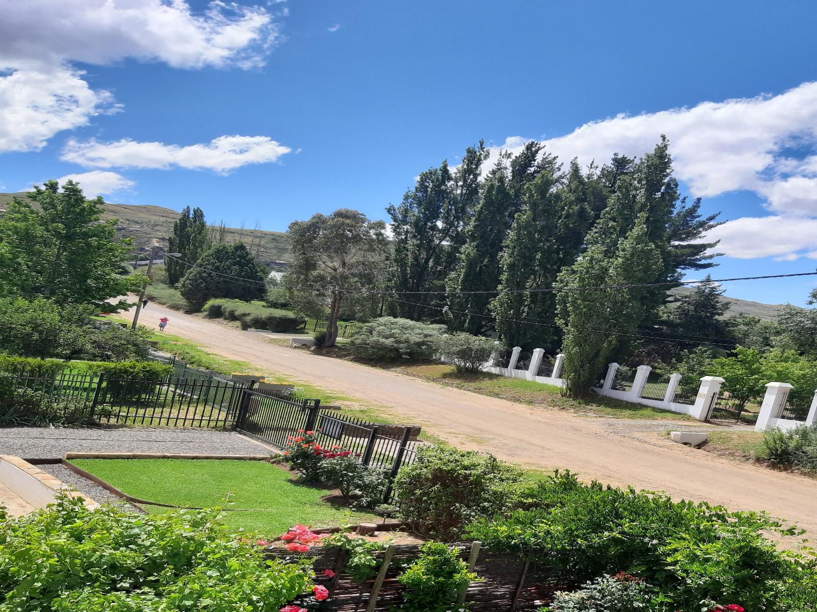 Honeysuckle Accommodation Clarens Free State South Africa Complementary Colors, Garden, Nature, Plant