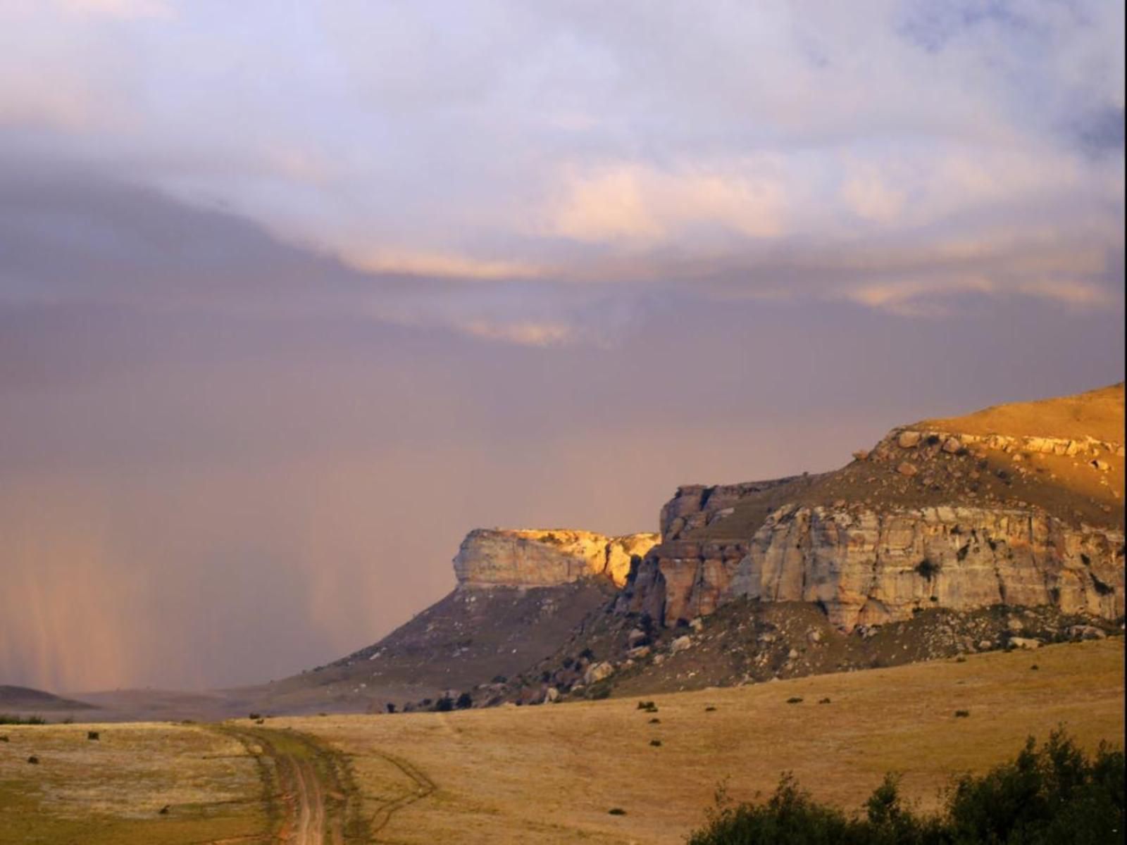 Honeysuckle Accommodation Clarens Free State South Africa Nature