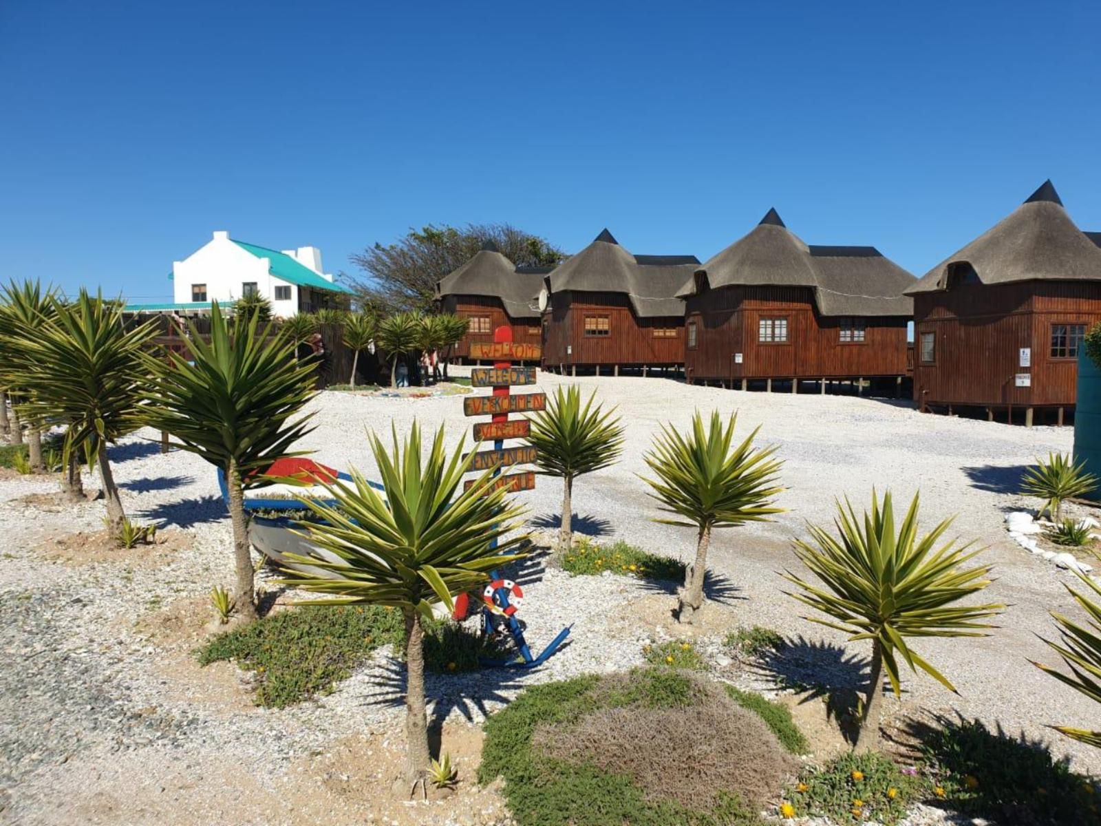 Honne Pondokkies Hondeklipbaai Northern Cape South Africa Complementary Colors, House, Building, Architecture, Palm Tree, Plant, Nature, Wood