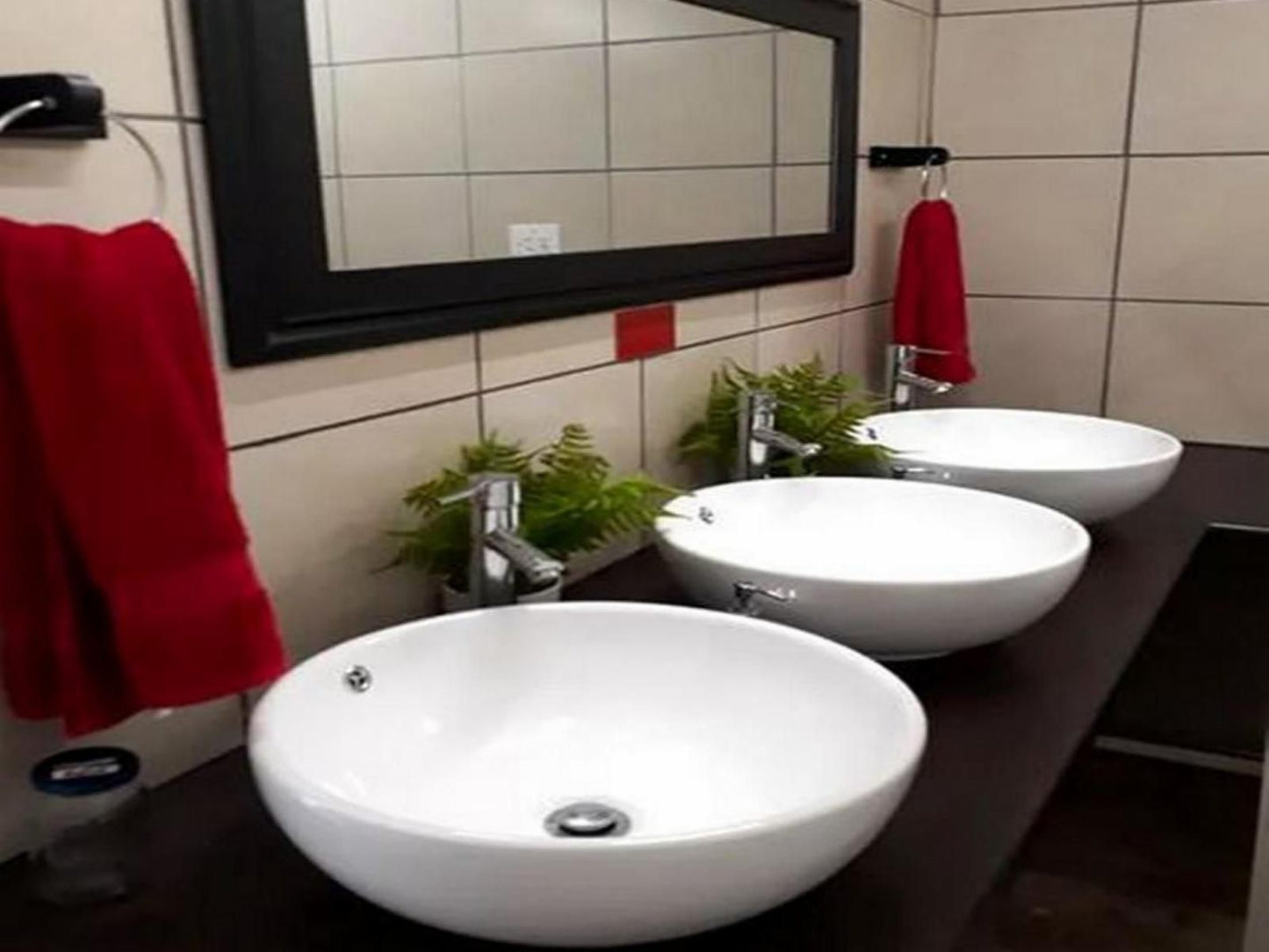 Honne Pondokkies Hondeklipbaai Northern Cape South Africa Bathroom