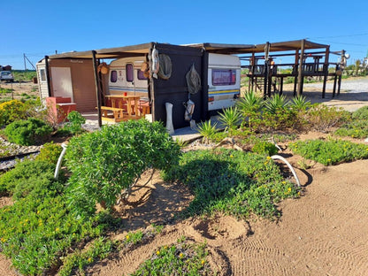 Honne Pondokkies Hondeklipbaai Northern Cape South Africa Complementary Colors, Tent, Architecture