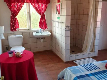 Honne Pondokkies Hondeklipbaai Northern Cape South Africa Bathroom