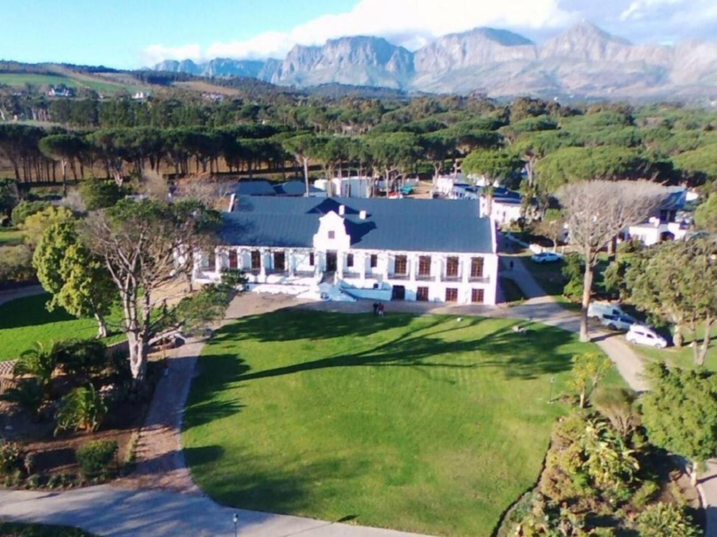 Hoogeind Manor Somerset West Western Cape South Africa Complementary Colors, Palm Tree, Plant, Nature, Wood