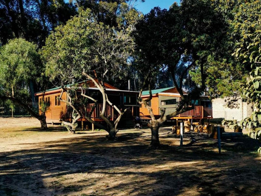 Hoogeland S Wood Cabins Penhill Cape Town Western Cape South Africa Tree, Plant, Nature, Wood