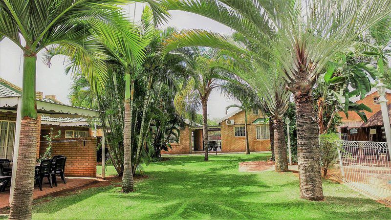 Hoogland Spa Resort Bela Bela Bela Bela Warmbaths Limpopo Province South Africa House, Building, Architecture, Palm Tree, Plant, Nature, Wood