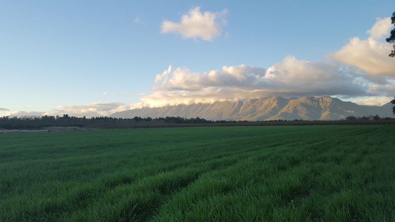 Hoogwater Farmhouse Wolseley Western Cape South Africa Field, Nature, Agriculture, Clouds, Sky, Lowland