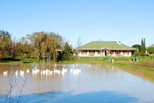 Hoopenburg Guest House Stellenbosch Western Cape South Africa Complementary Colors, River, Nature, Waters