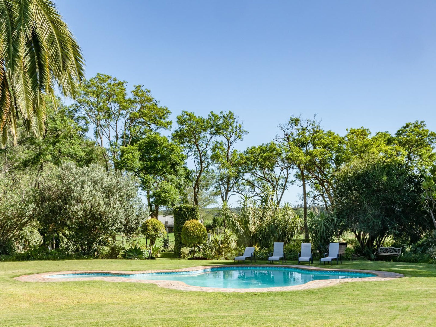 Hopefield Bnb Sunland Eastern Cape South Africa Complementary Colors, Palm Tree, Plant, Nature, Wood, Garden, Swimming Pool