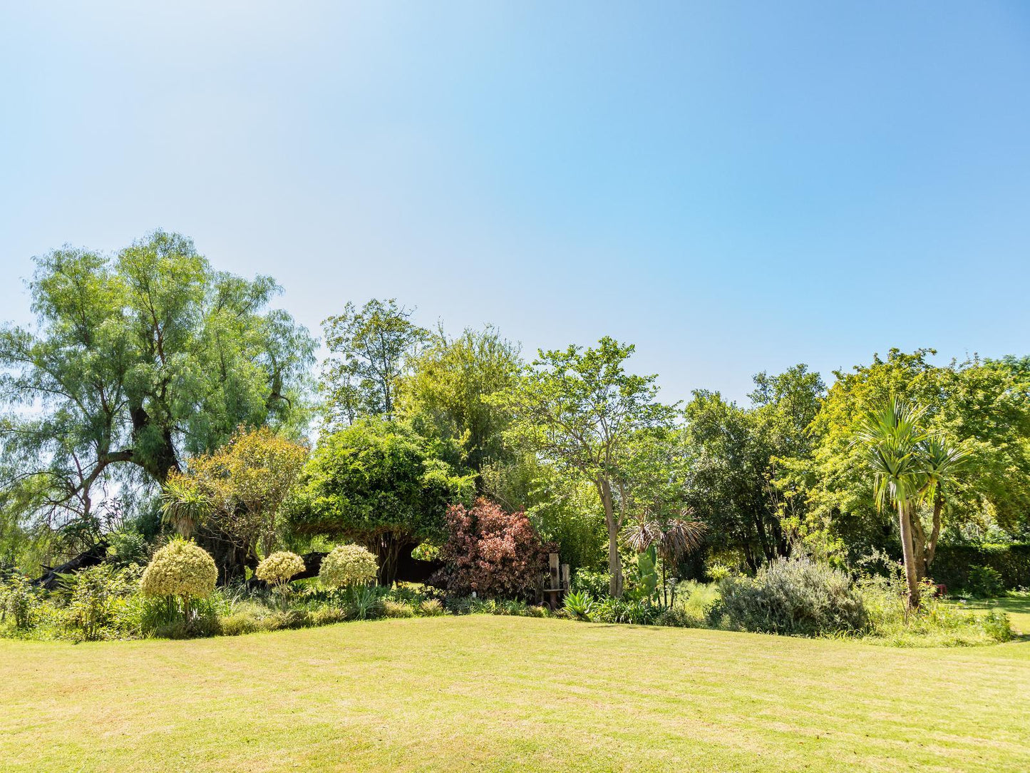 Room 1 - Family Room with Garden View @ Hopefield Bnb