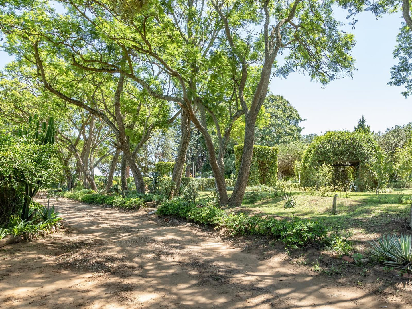 Hopefield Guesthouse-Addo, Plant, Nature, Tree, Wood, Garden