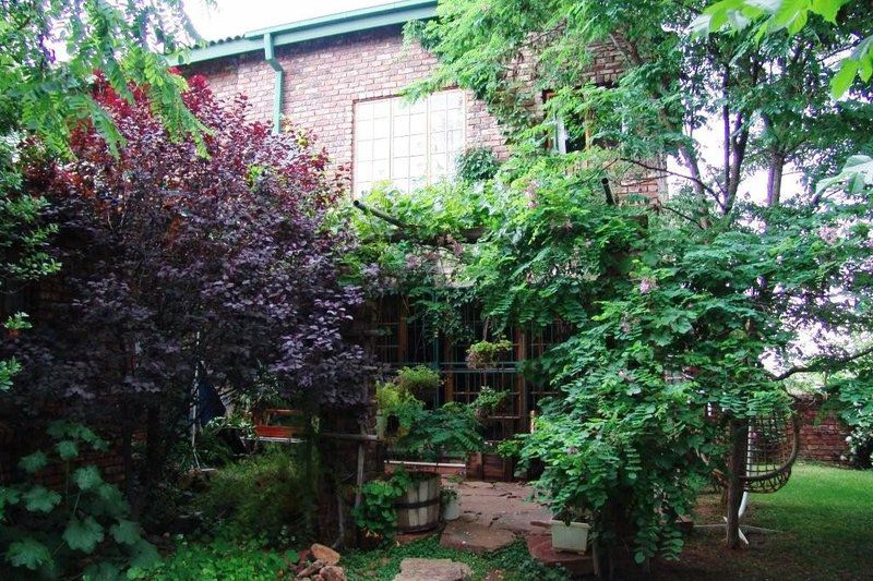 Hopetown Frida S Gastehuis Hopetown Northern Cape South Africa House, Building, Architecture, Plant, Nature, Tree, Wood, Garden