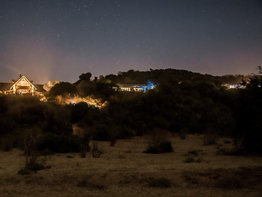 Hopewell Private Game Reserve, Framing, Night Sky, Nature