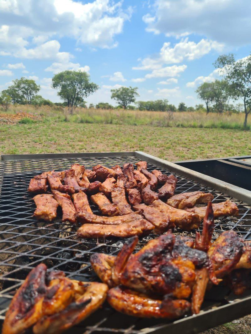 Horizon Savannah Campsite Dinokeng Gauteng South Africa Complementary Colors, Meat, Food, Lowland, Nature