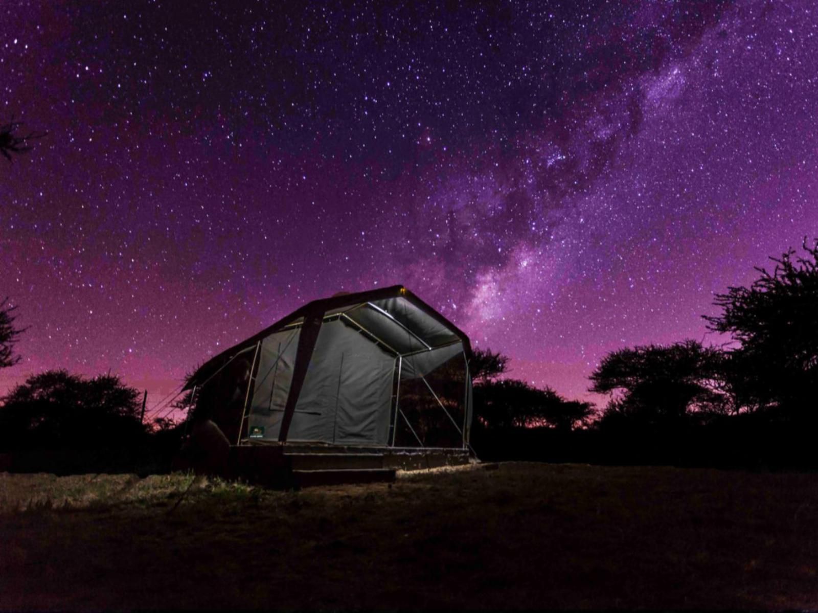 Horizon Savannah, Night Sky, Nature