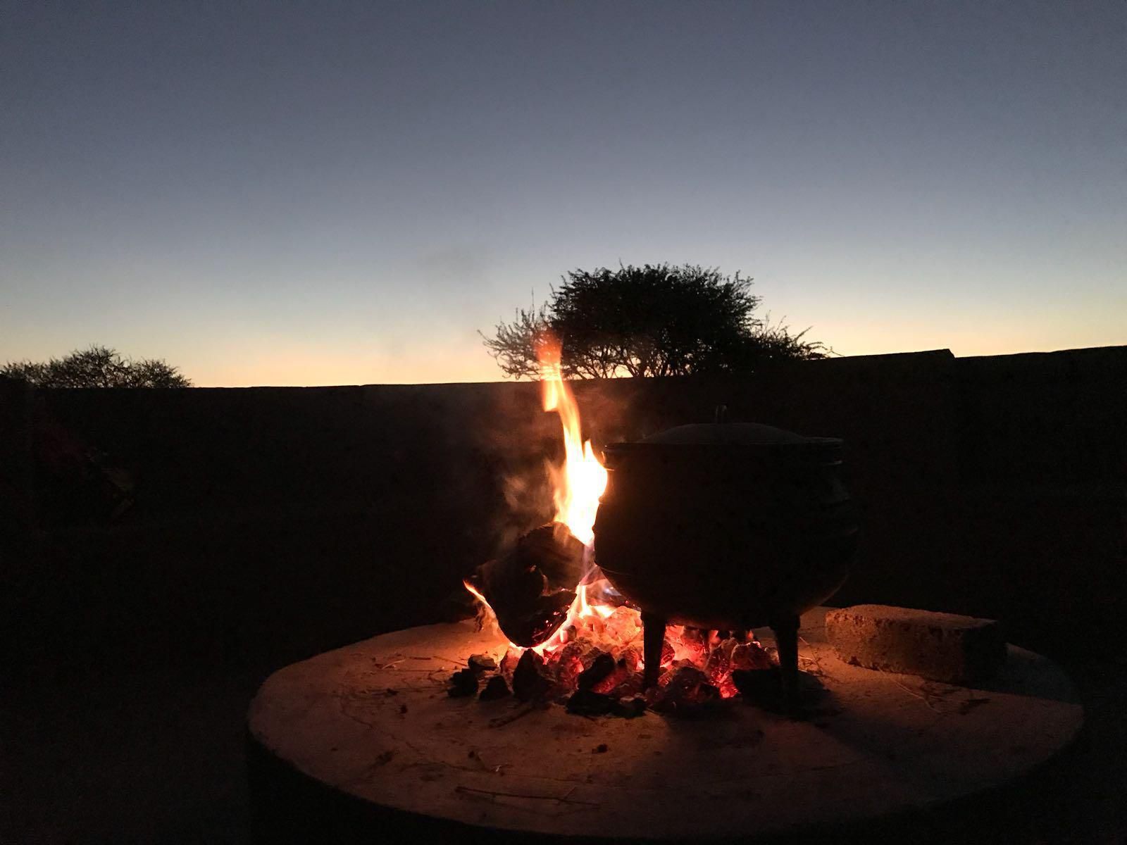 Horizon Savannah, Fire, Nature