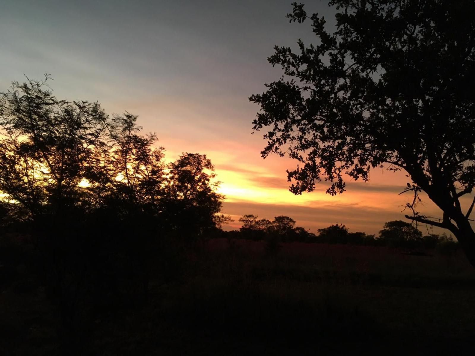 Horizon Savannah, Sky, Nature, Sunset