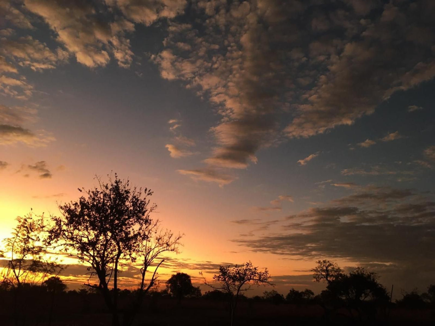 Horizon Savannah, Sky, Nature, Sunset