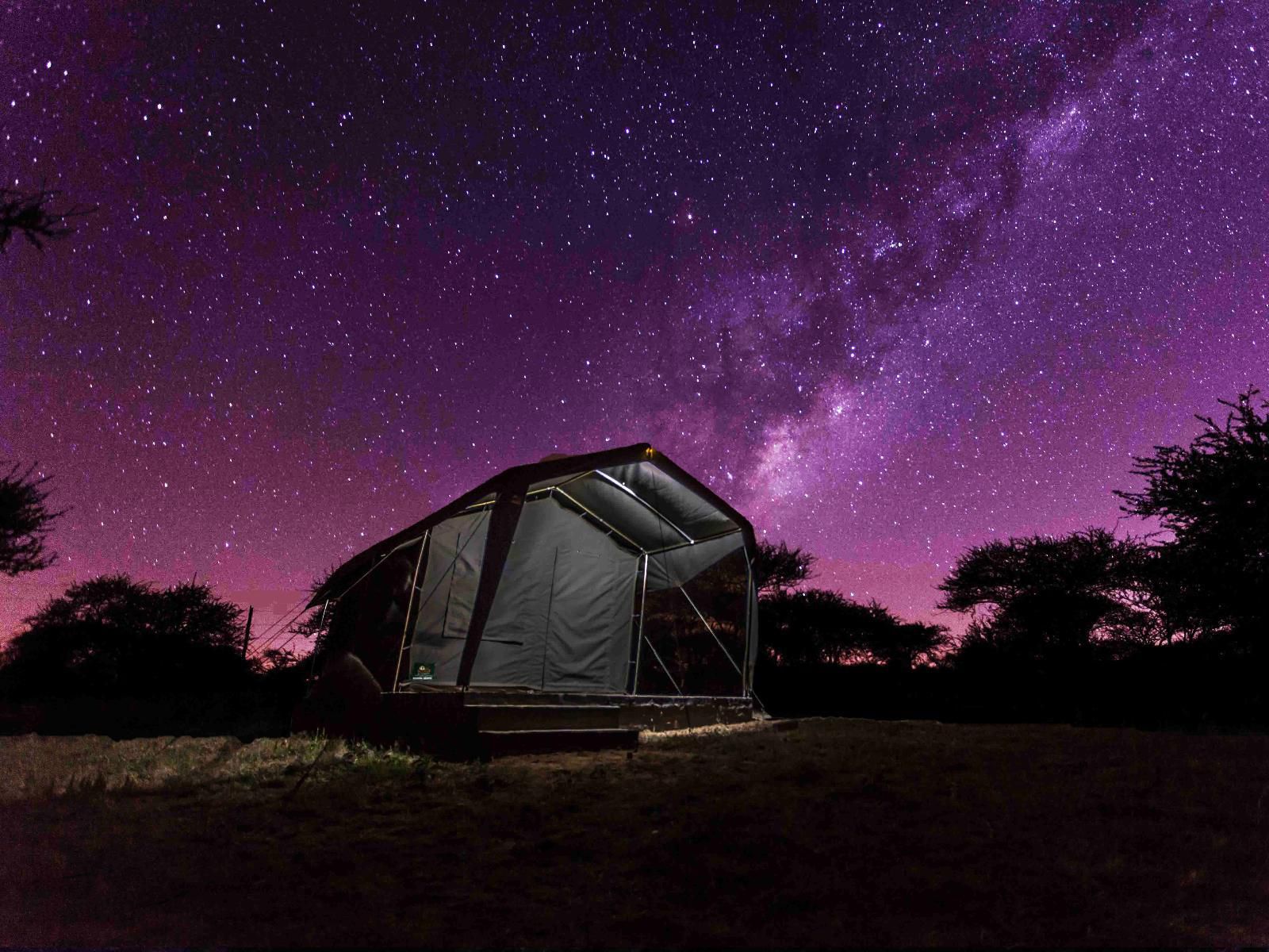 Horizon Savannah, Two-sleeper Chalet, Night Sky, Nature