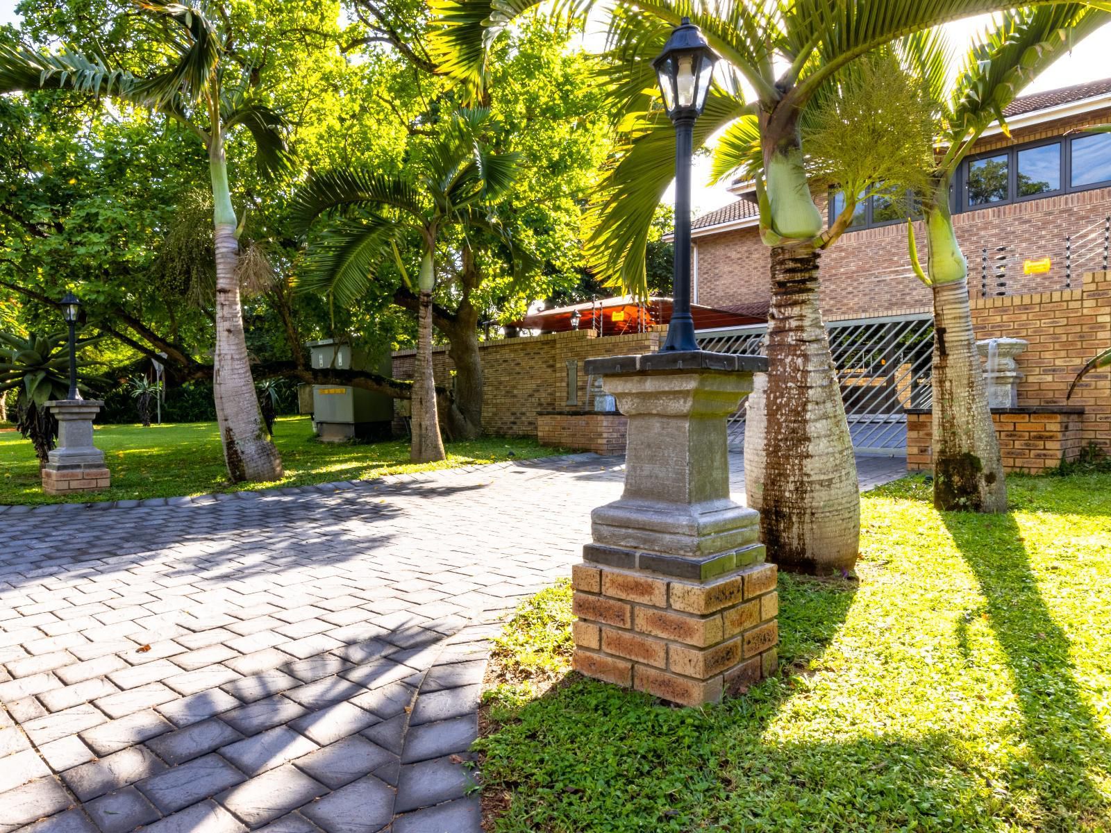 Hornbill Family Suites, Palm Tree, Plant, Nature, Wood