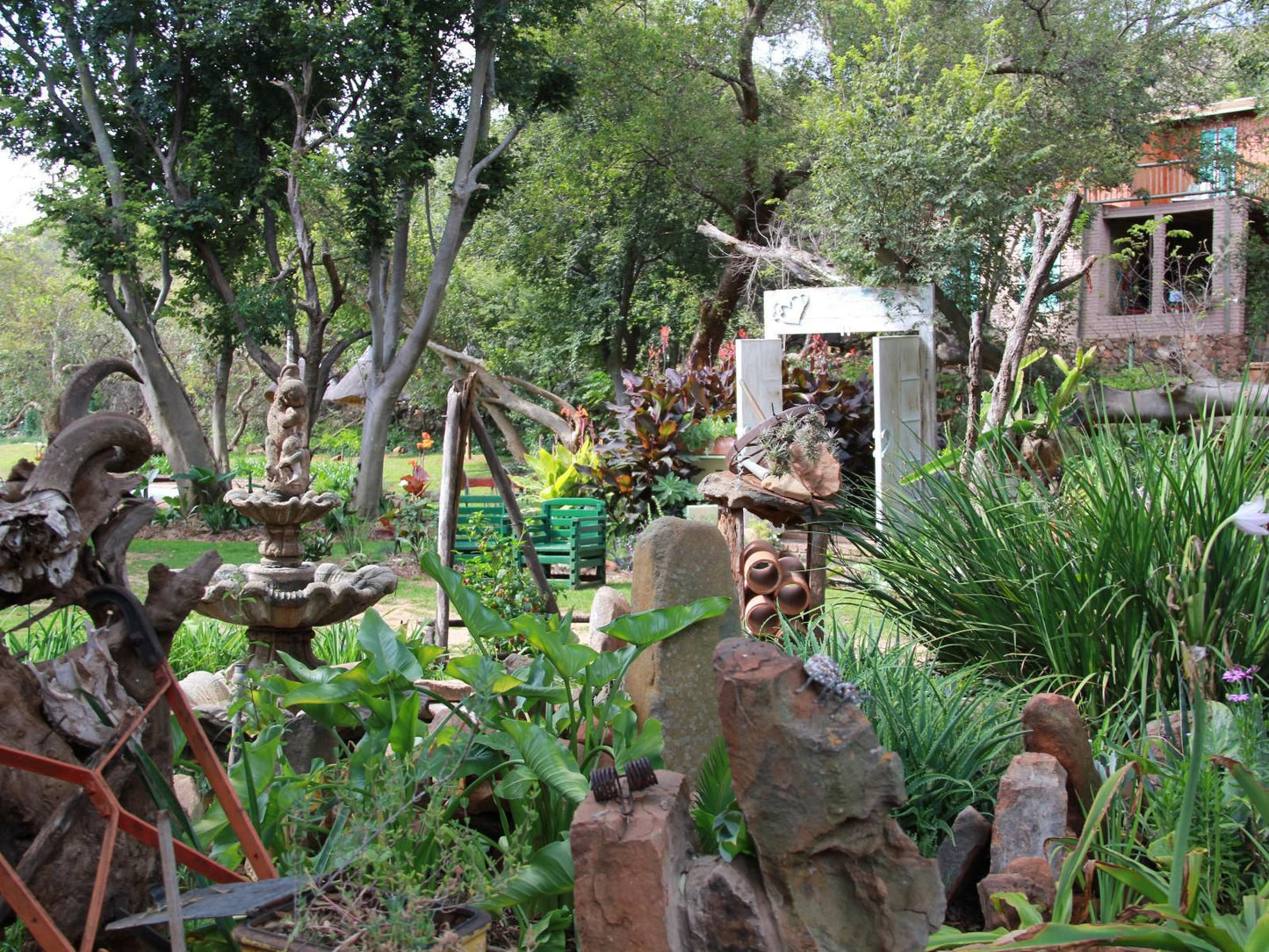 Hornbill Lodge And Legends Restaurant, Palm Tree, Plant, Nature, Wood, Garden