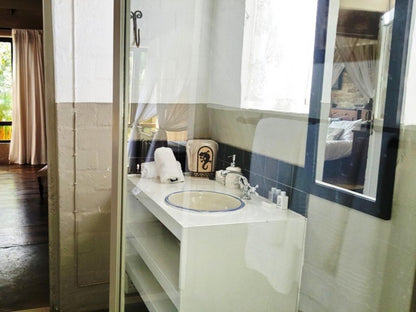 Hornbill House Hermanus Hemel En Aarde Western Cape South Africa Bathroom