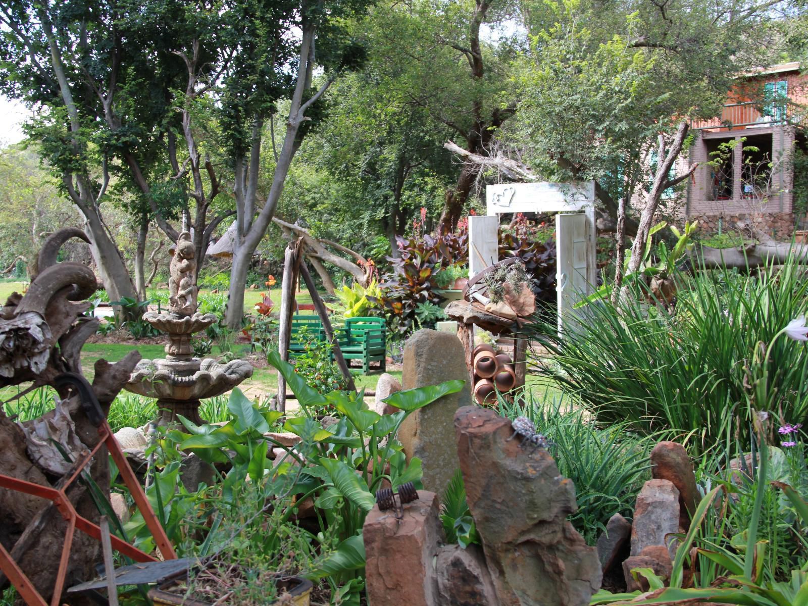Hornbill Lodge Magaliesburg Gauteng South Africa Palm Tree, Plant, Nature, Wood, Garden