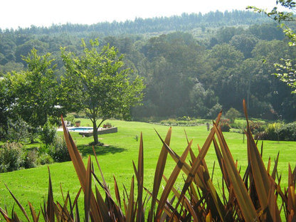 Hornbills Forest Getaway Stutterheim Eastern Cape South Africa Plant, Nature, Garden