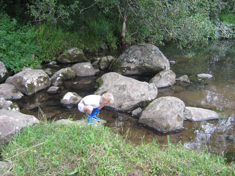 Hornbills Forest Getaway Stutterheim Eastern Cape South Africa River, Nature, Waters