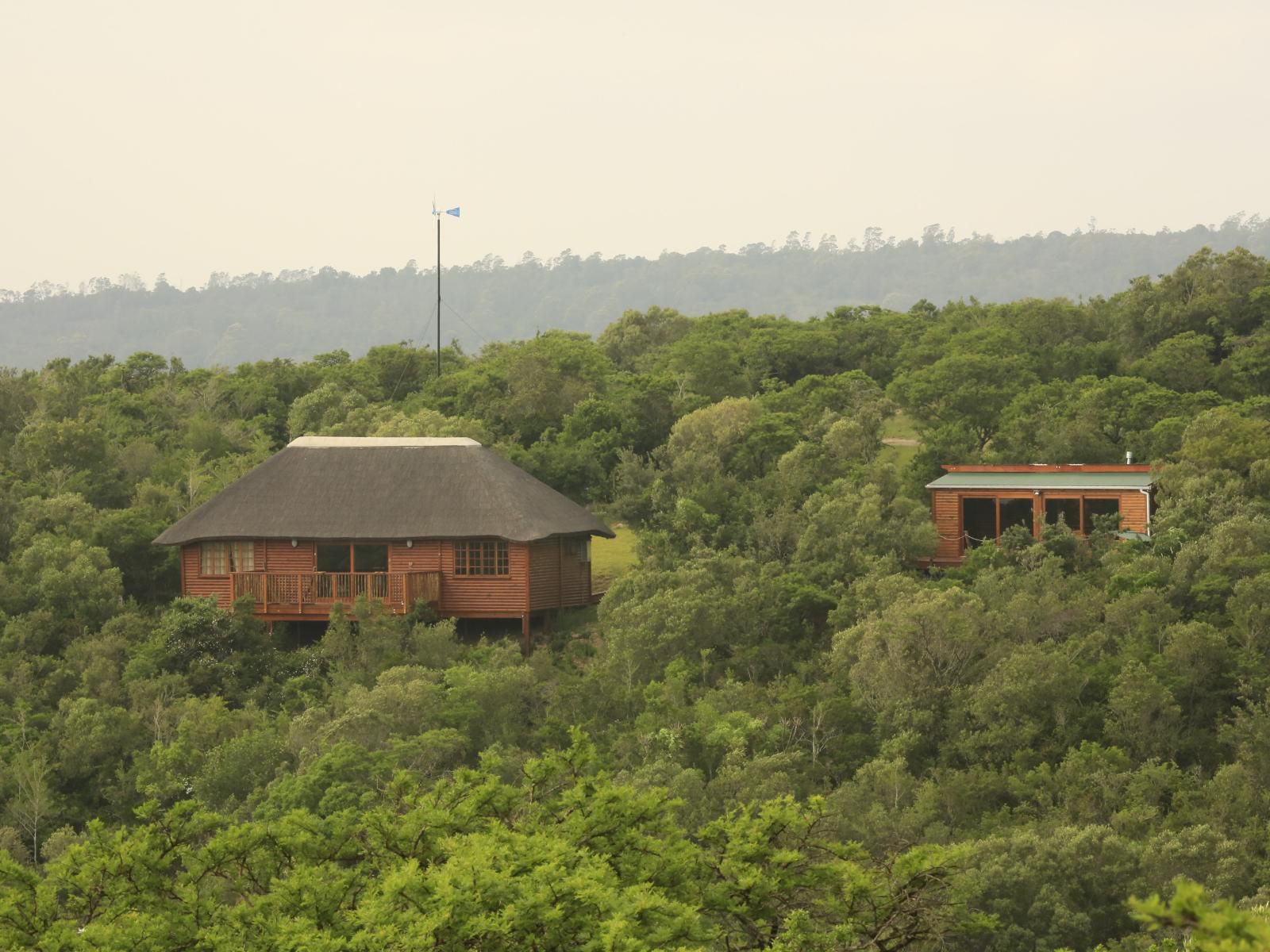 Horseshoe Game Reserve Macleantown Eastern Cape South Africa Building, Architecture, Forest, Nature, Plant, Tree, Wood