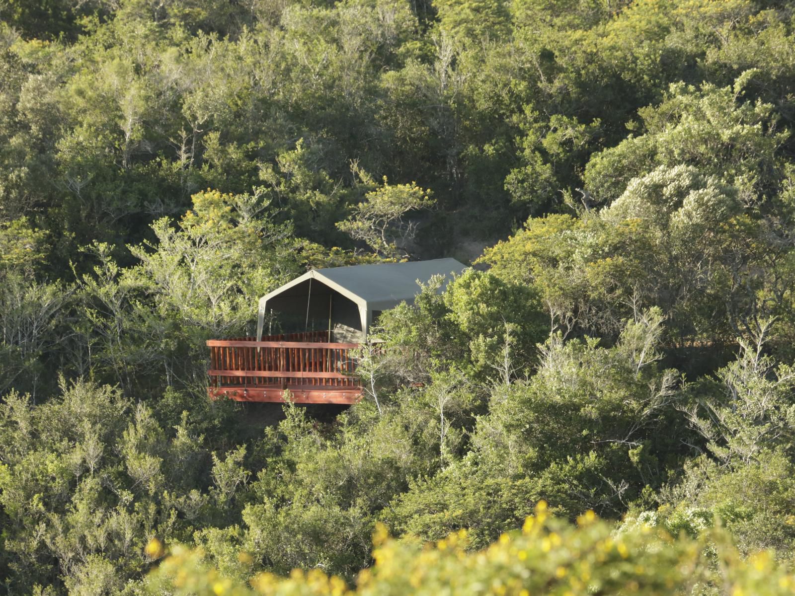 Horseshoe Game Reserve Macleantown Eastern Cape South Africa 