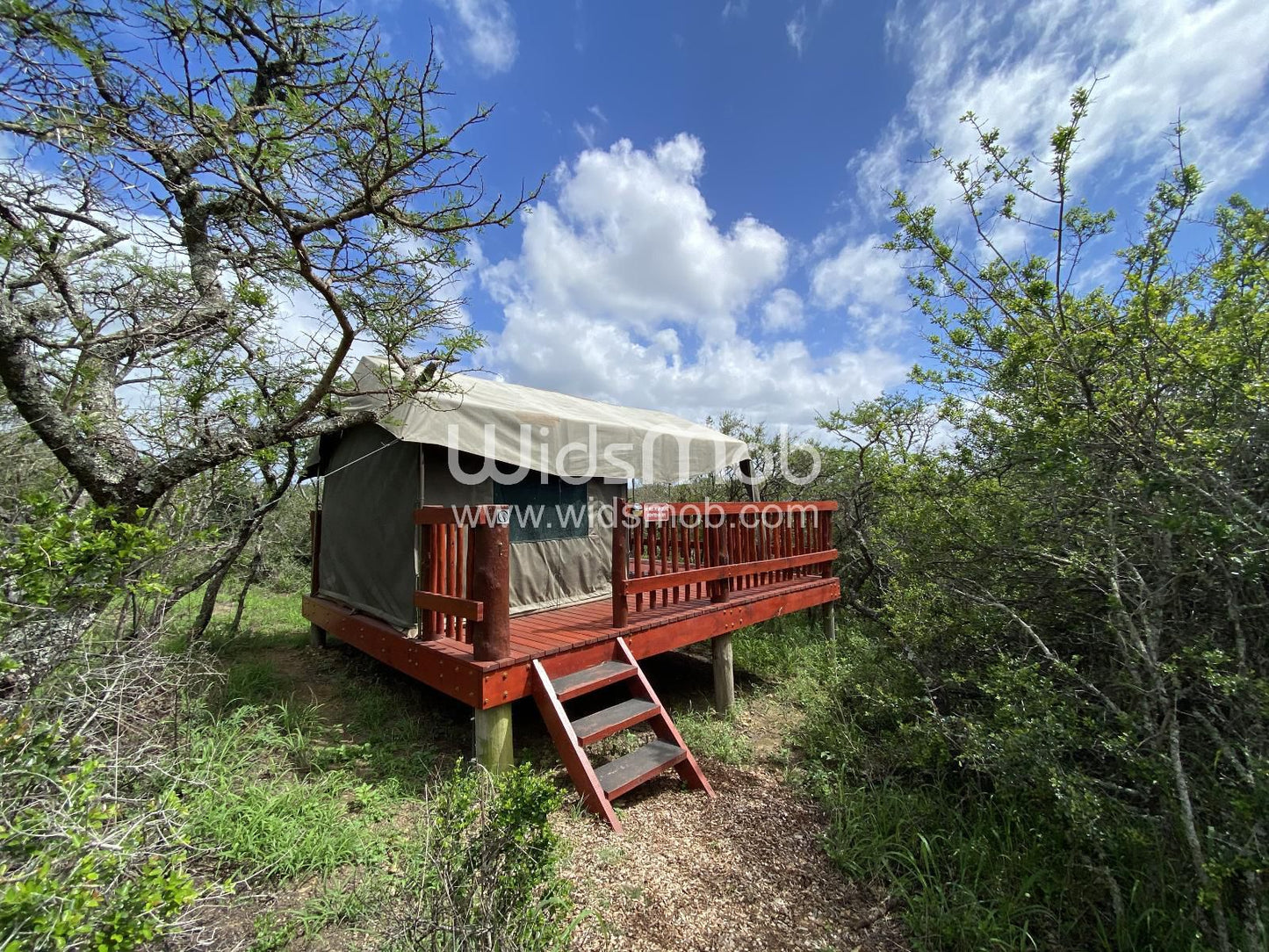 Horseshoe Game Reserve Macleantown Eastern Cape South Africa Complementary Colors