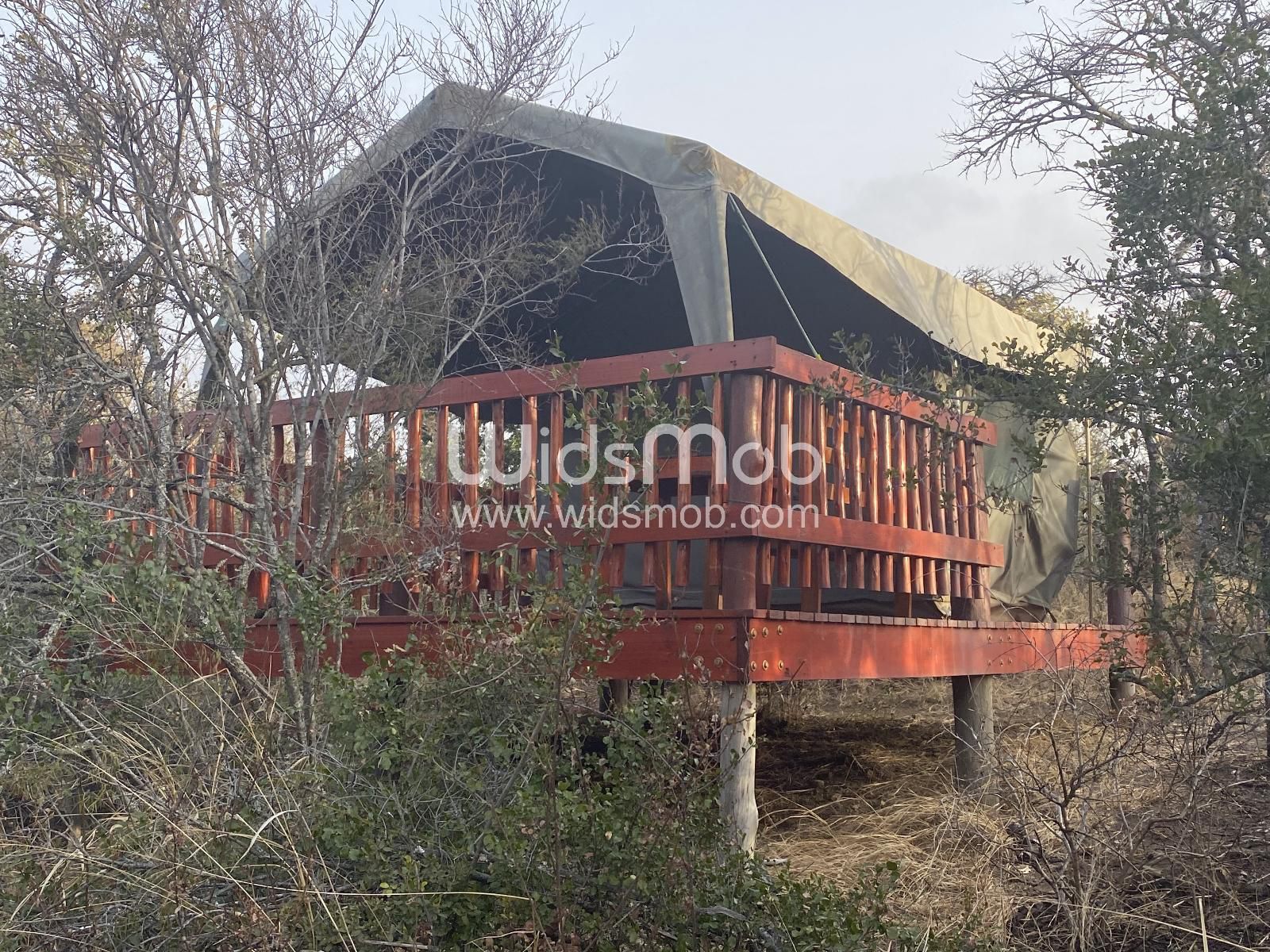 Horseshoe Game Reserve Macleantown Eastern Cape South Africa Bridge, Architecture