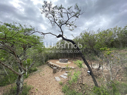 Horseshoe Game Reserve Macleantown Eastern Cape South Africa Complementary Colors, Plant, Nature