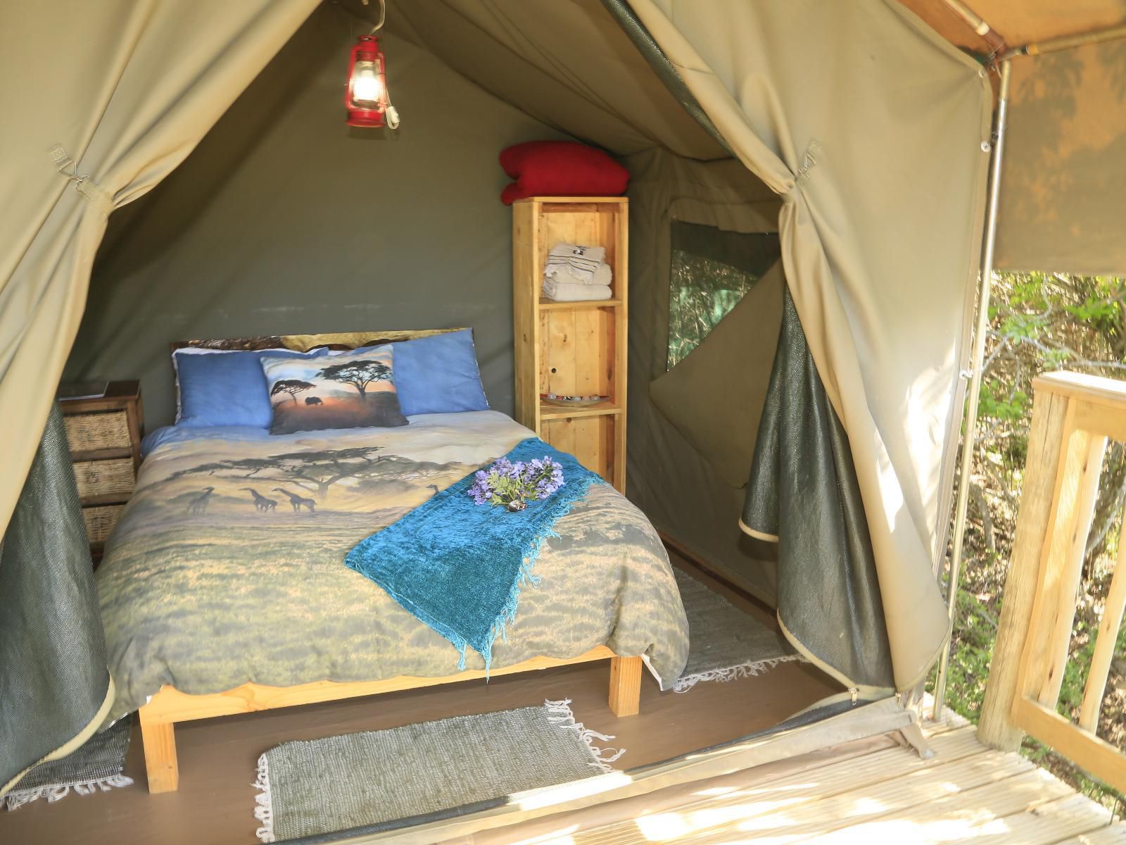 Horseshoe Game Reserve Macleantown Eastern Cape South Africa Tent, Architecture, Bedroom