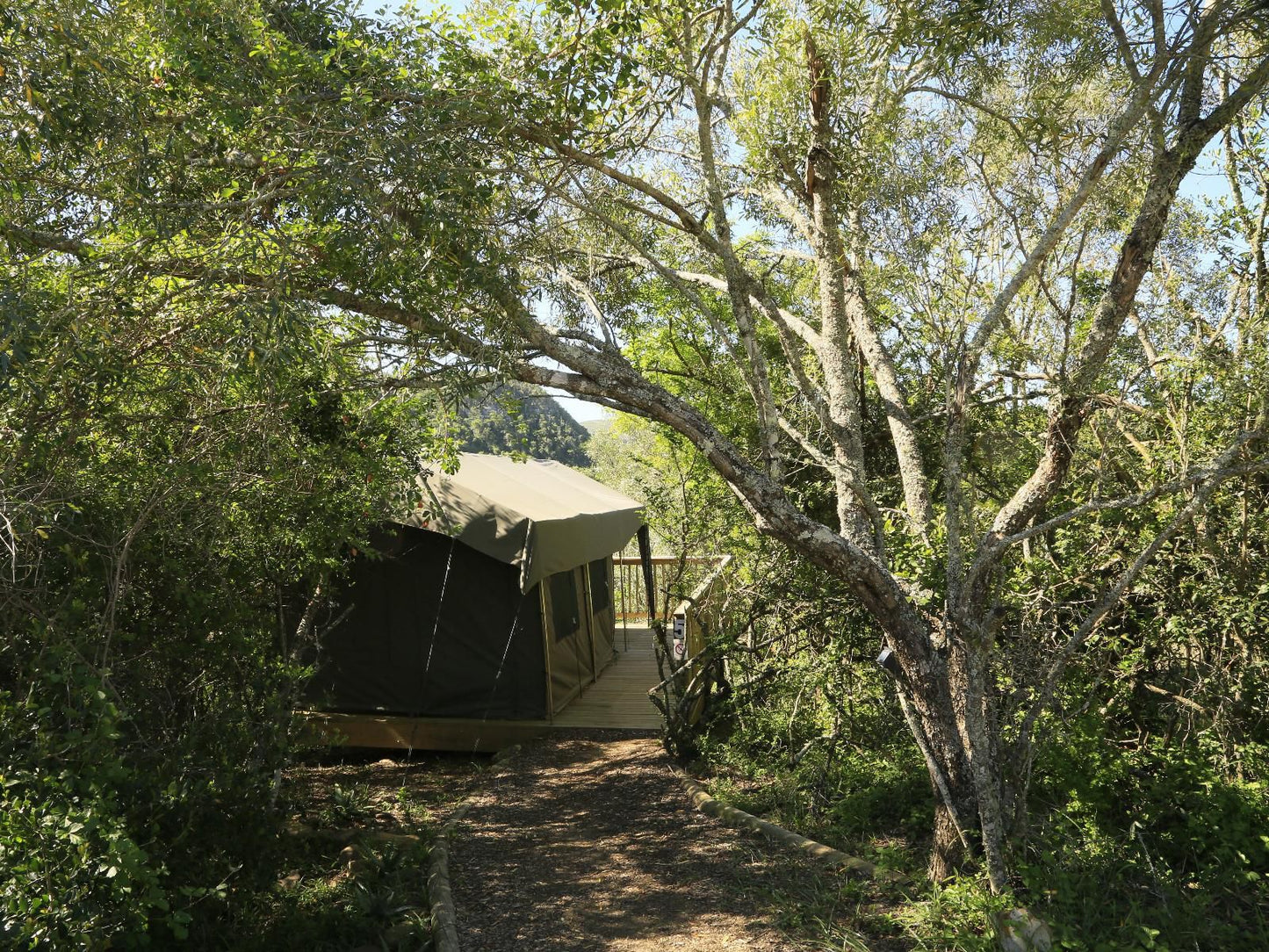 Horseshoe Game Reserve Macleantown Eastern Cape South Africa Forest, Nature, Plant, Tree, Wood, Tent, Architecture