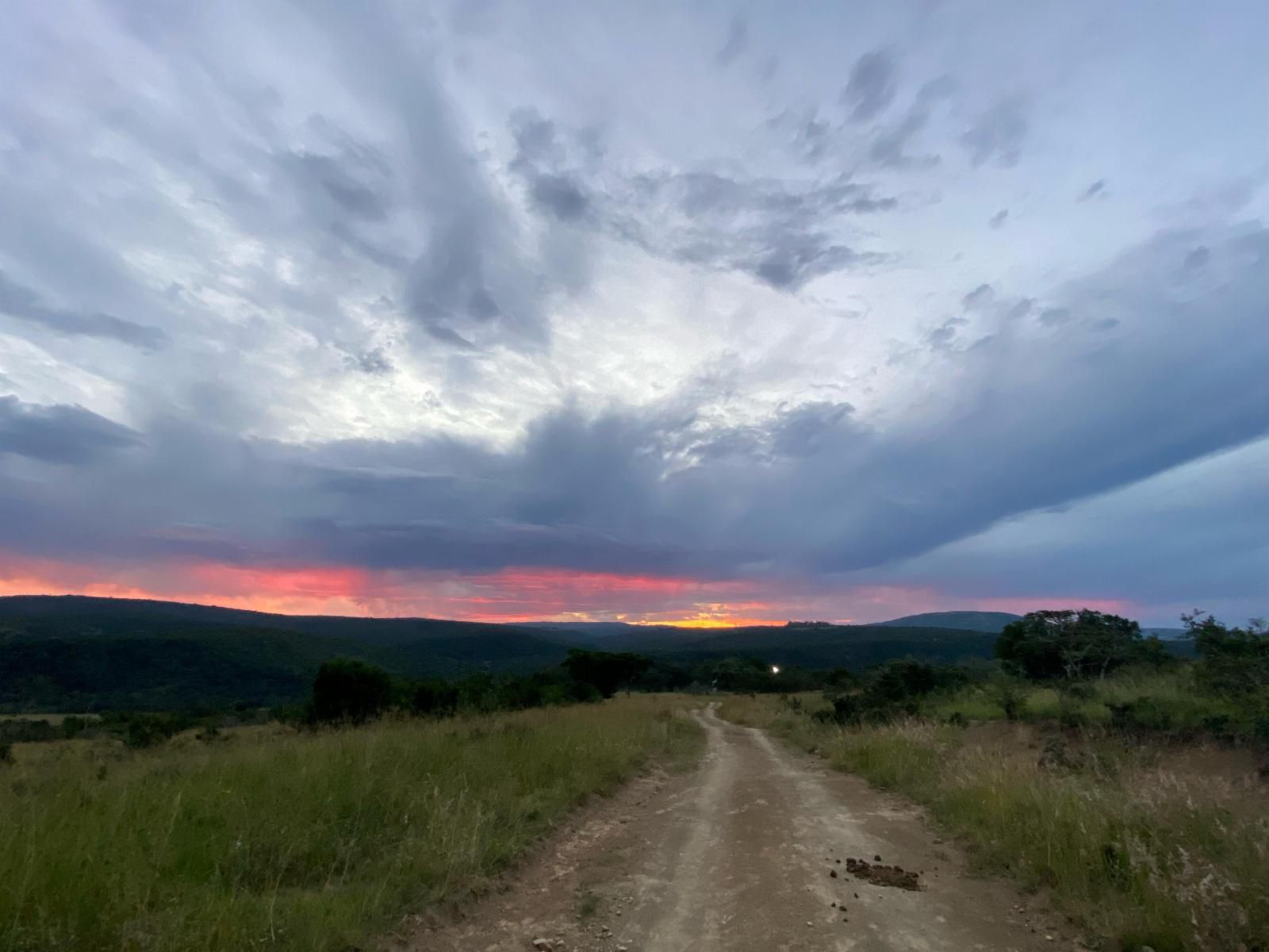 Horseshoe Game Reserve Macleantown Eastern Cape South Africa Sky, Nature, Sunset