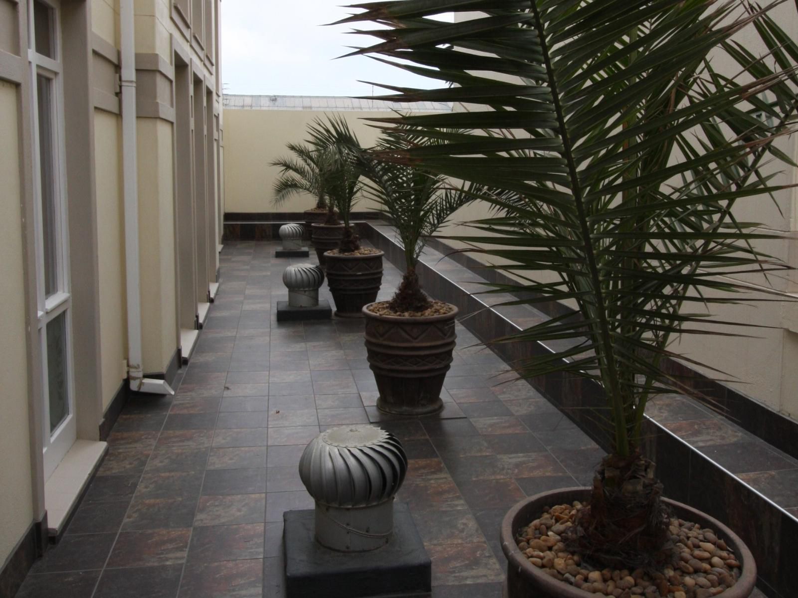 Hotel Eberwein, Palm Tree, Plant, Nature, Wood