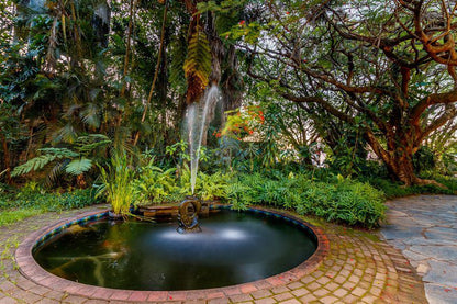 Hotel Numbi And Garden Suites Hazyview Mpumalanga South Africa 1 Plant, Nature, Garden