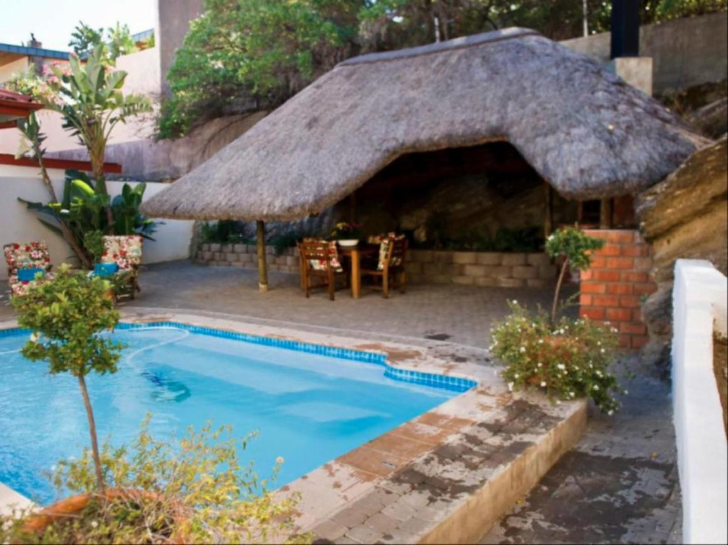 Hotel Pension Casa Africana, Garden, Nature, Plant, Swimming Pool