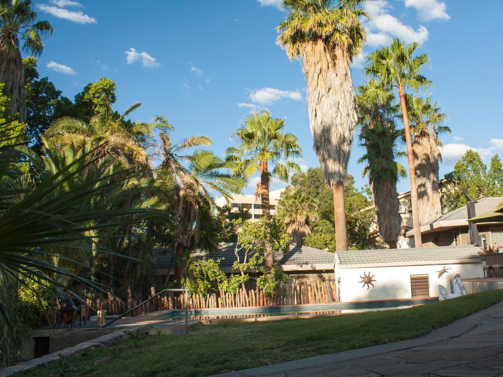 Hotel Pension Palmquell, Palm Tree, Plant, Nature, Wood