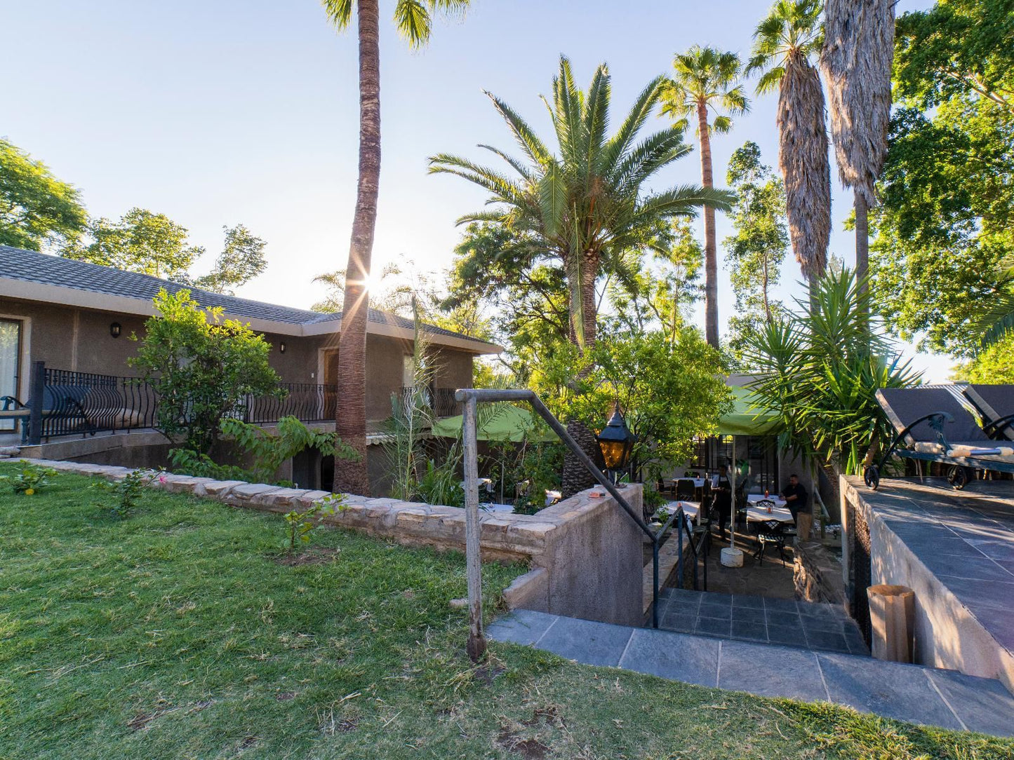 Hotel Pension Palmquell, Palm Tree, Plant, Nature, Wood