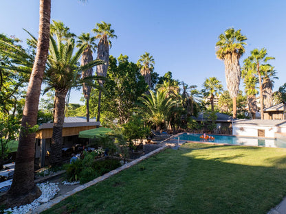 Hotel Pension Palmquell, House, Building, Architecture, Palm Tree, Plant, Nature, Wood, Garden, Swimming Pool